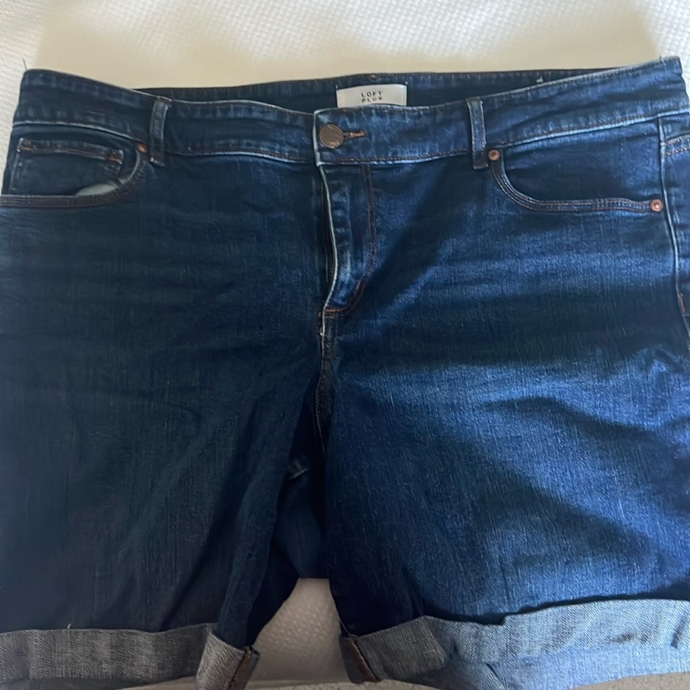 Loft Plus Shorts